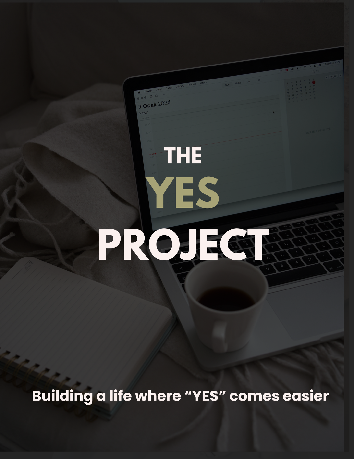 The YES project